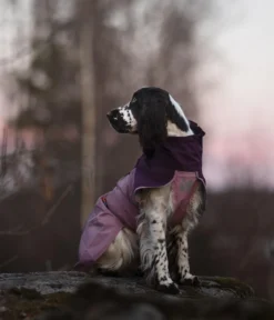 Non-stop dogwear Regenmantel Fjord raincoat 2.0, violett