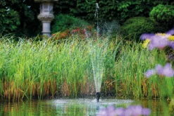 Oase Aquarius Fountain Set Classic 3000 E