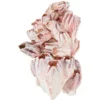 Orbit Aquarium-Dekoration Barnacle