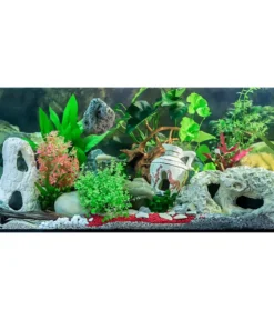 Orbit Finger Wurzel XS, ca. B15-20 cm