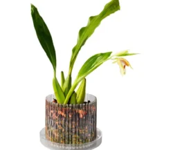 Orchitop® Orchideentopf S Set, rund, ca. Ø10 cm