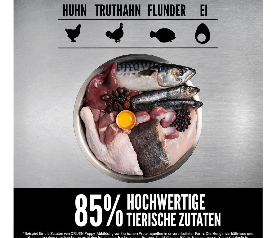 ORIJEN™ Trockenfutter für Hunde Puppy
