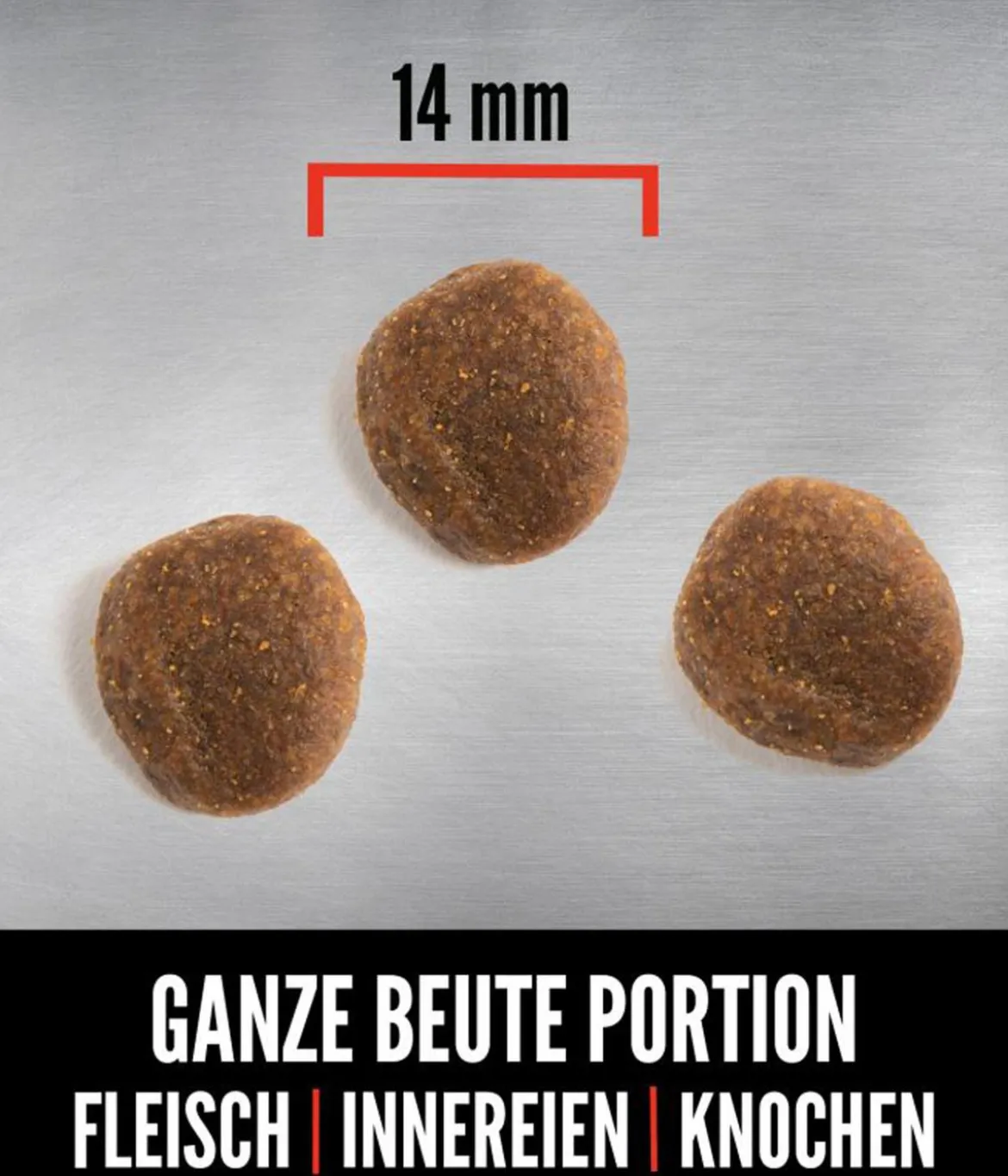 ORIJEN™ Trockenfutter für Hunde Six Fish