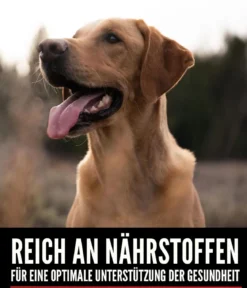 ORIJEN™ Trockenfutter für Hunde Six Fish