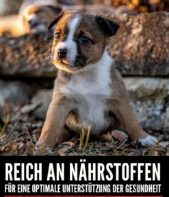 ORIJEN™ Trockenfutter für Hunde Small Breed Puppy