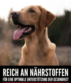 ORIJEN™ Trockenfutter für Hunde Senior