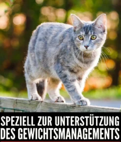 ORIJEN™ Trockenfutter für Katzen Fit & Trim