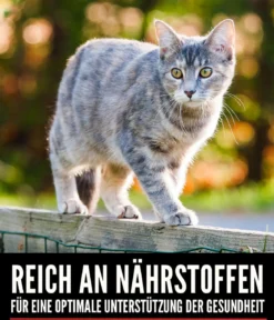 ORIJEN™ Trockenfutter für Katzen Six Fish