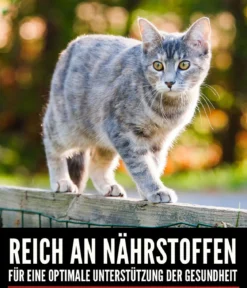 ORIJEN™ Trockenfutter für Katzen Regional Red