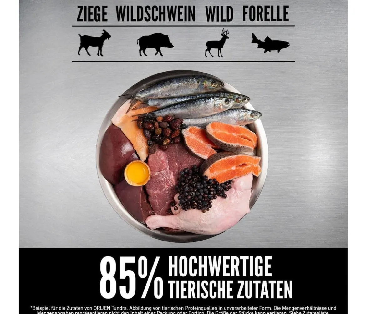 ORIJEN™ Trockenfutter für Katzen Tundra