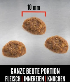 ORIJEN™ Trockenfutter für Katzen Kitten