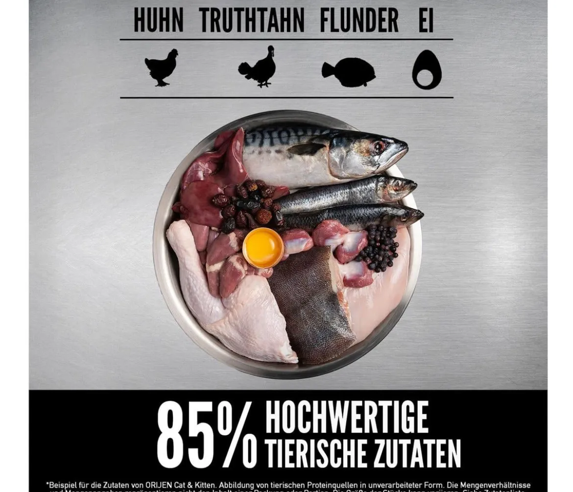 ORIJEN™ Trockenfutter für Katzen Kitten