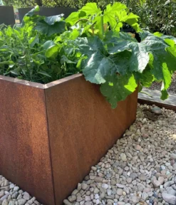 Palatino Cortenstahl-Pflanzgefäß Clara, ca. B80/H50/T80 cm
