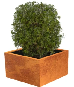 Palatino Cortenstahl-Pflanzgefäß Clara, ca. B80/H50/T80 cm