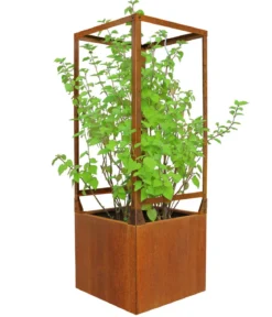 Palatino Cortenstahl-Pflanzkübel Clara mit Rankkäfig, quadratisch, braun, ca. B60/H163/T60 cm