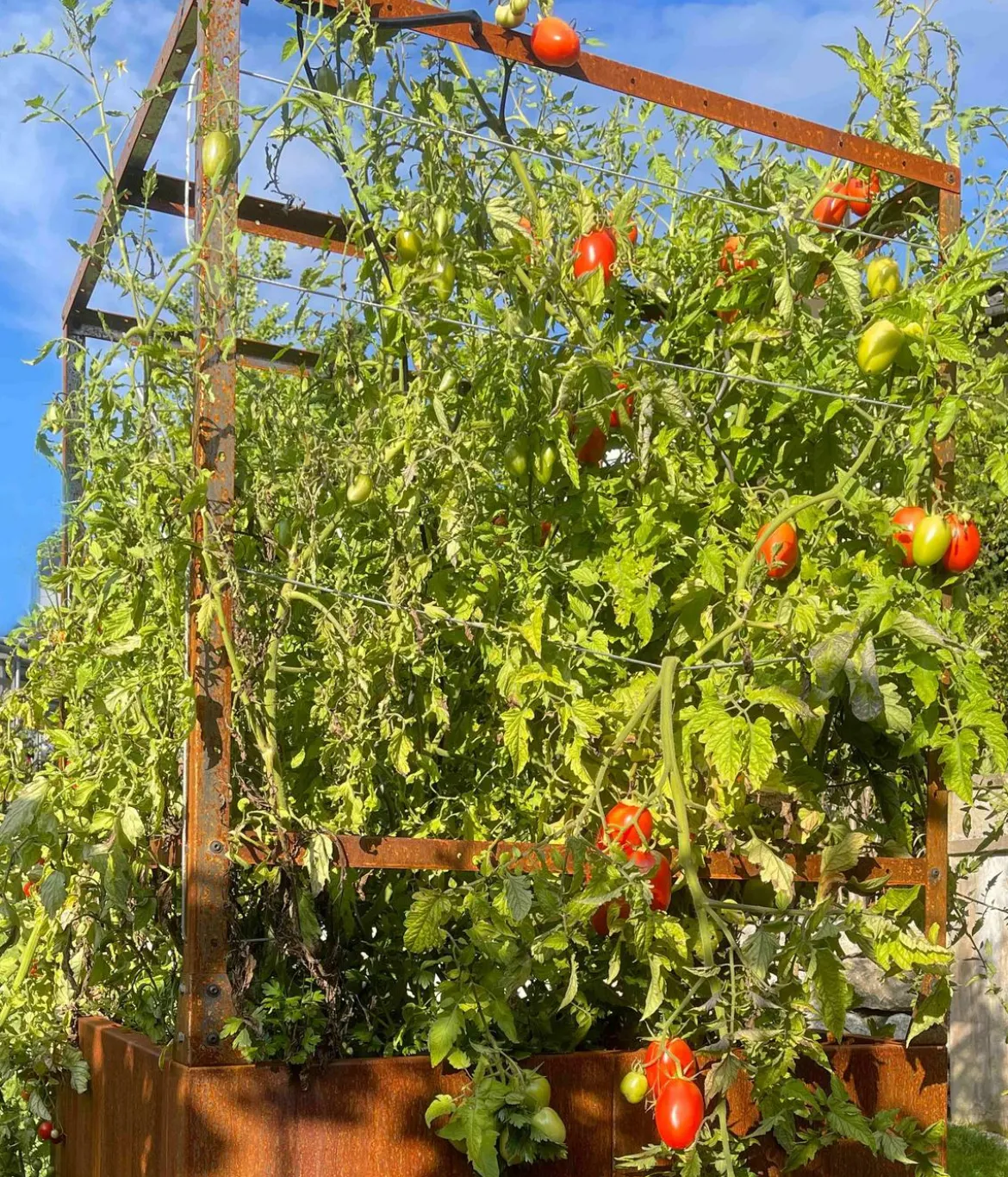 Palatino Cortenstahl-Tomatenhaus, braun, ca. B100/H183/T100 cm