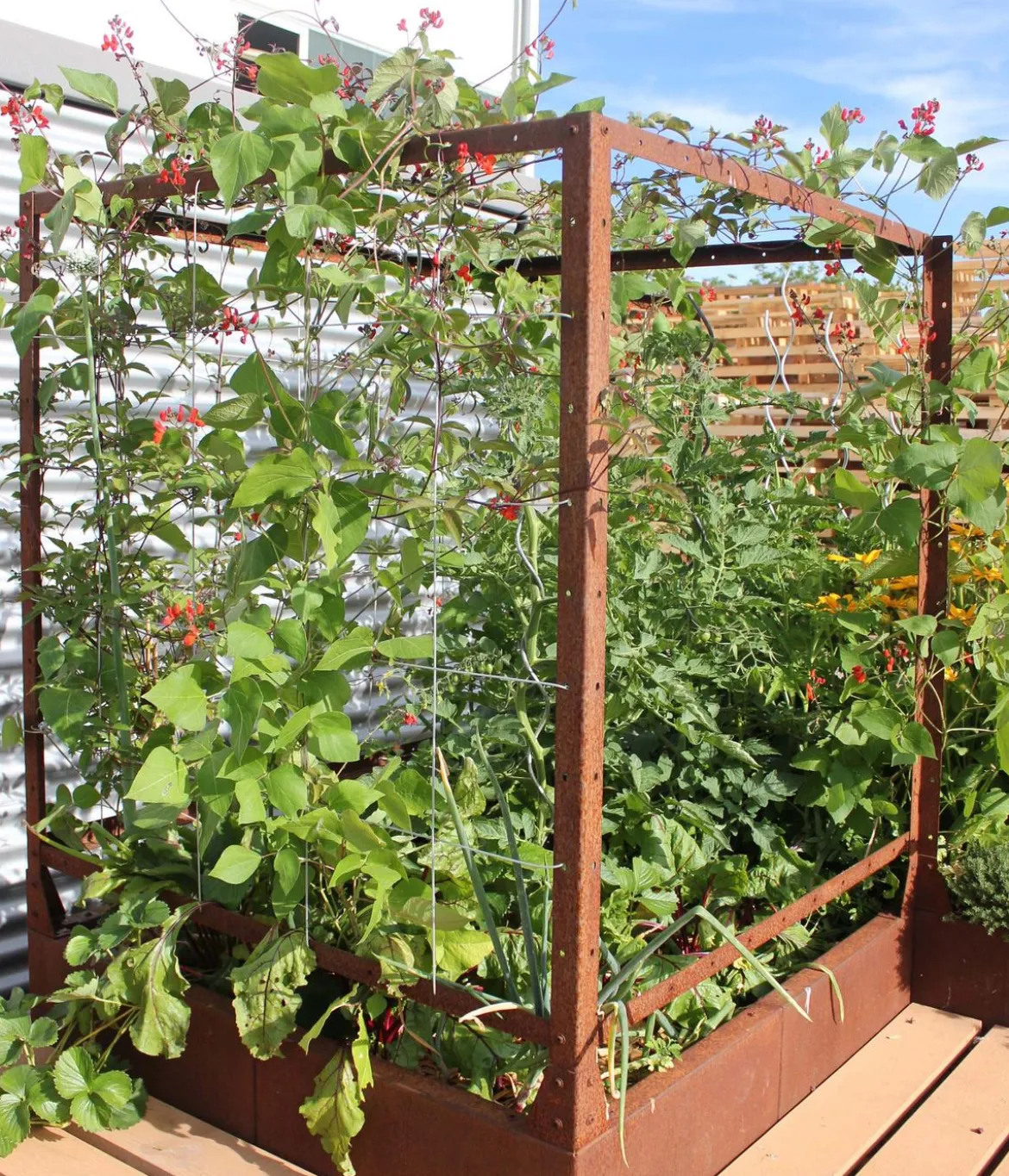 Palatino Cortenstahl-Tomatenhaus, braun, ca. B100/H183/T100 cm