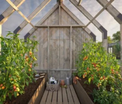 Palmako Gewächshaus Emilia mit Anbau, ca. B240/H286/T456 cm