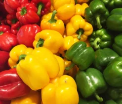 Paprika, gelb