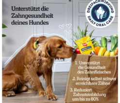Pedigree® Hundesnack Dentastix Daily Oral Care, mittlere Hunde