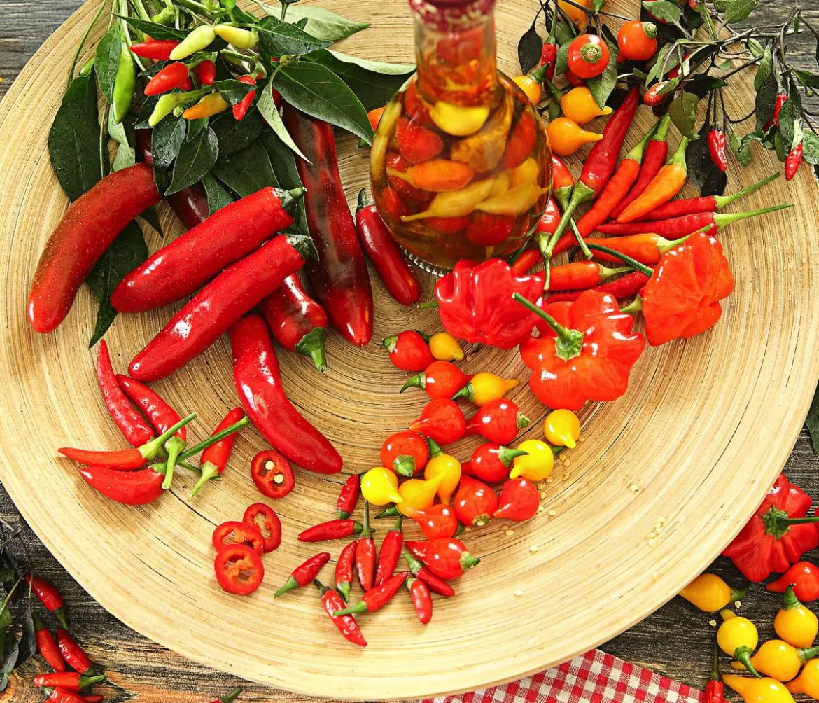 Peperoni 'Edler Tropfen', verschiedene Farben