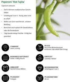 Peperoni 'Hot Fajita'
