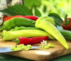 Peperoni 'Hyper'