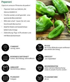Peperoni 'Pimientos de padron'