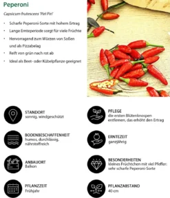 Peperoni 'Piri Piri'