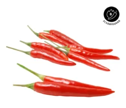 Peperoni 'Piri Piri'