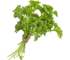 Petersilie 'Mooskrause'