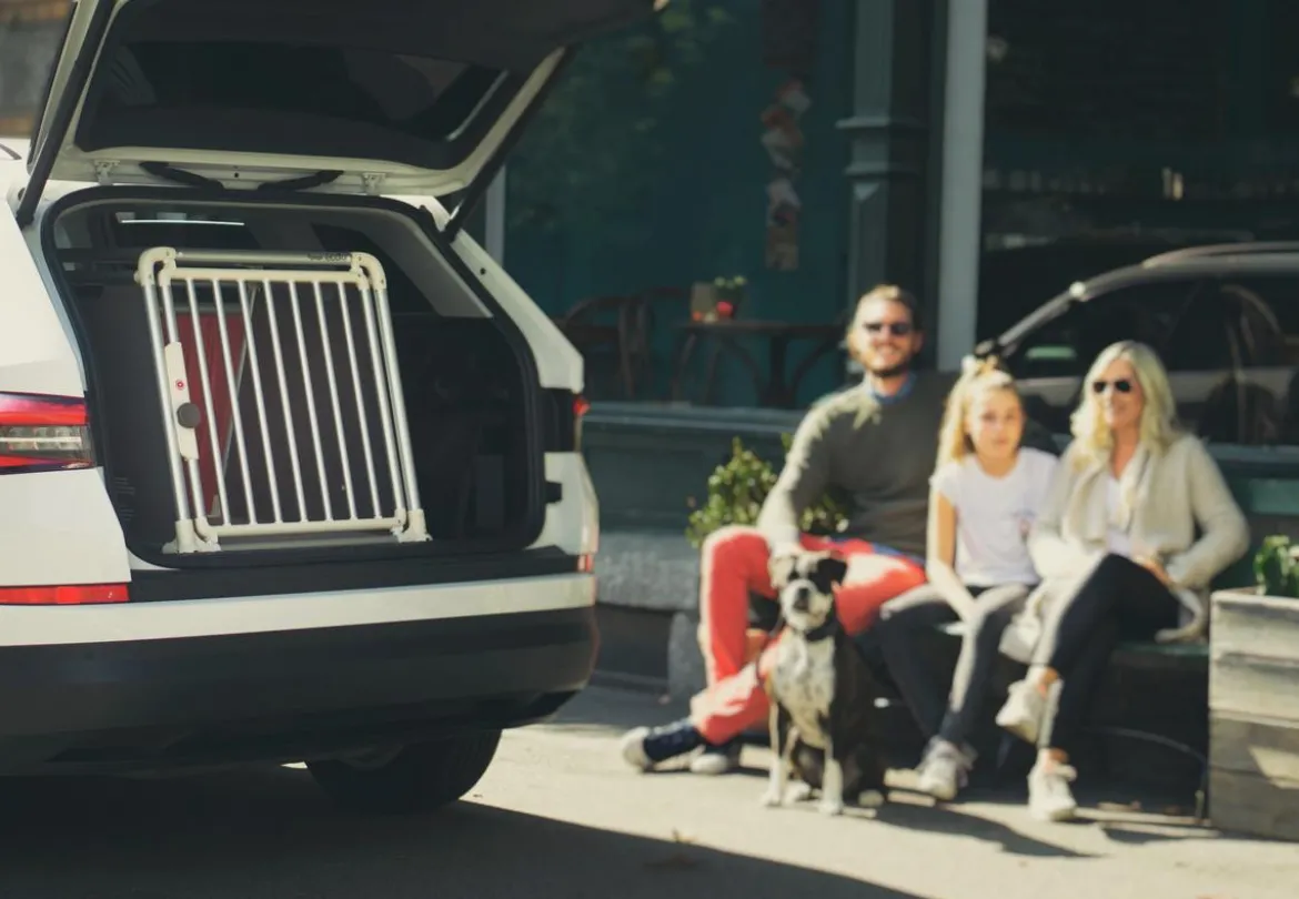 4pets® Hundetransportbox ECO Line 3