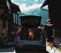 4pets® Hundetransportbox PRO NOIR Line 4