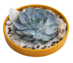 Pflanzen-Arrangement Ibiza, ca. Ø19/H8 cm