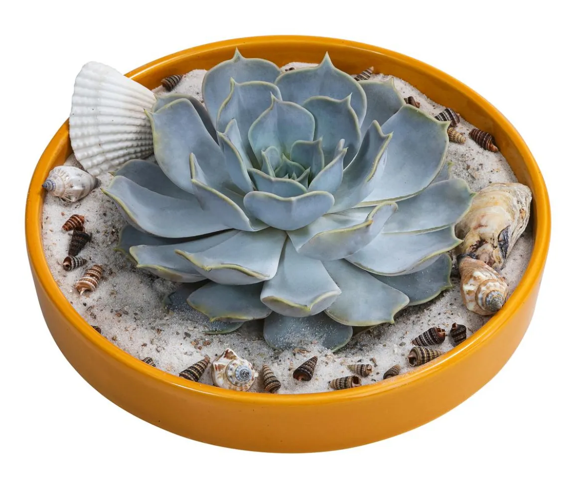 Pflanzen-Arrangement Ibiza, ca. Ø19/H8 cm
