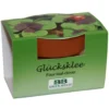 Pflanzset Glücksklee