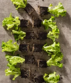 Pflücksalat 'Lollo Bionda', lausresistent, 12er Schale