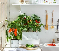 Pick-a-Pep® Paprika