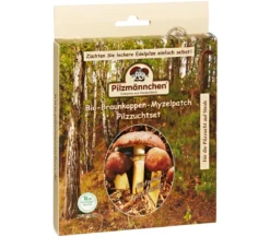 Pilzmännchen Bio Pilzzuchtset Braunkappen-Myzelpatch