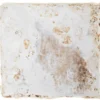 Pilzmännchen Bio Pilzzuchtset Austernpilz-Myzelpatch