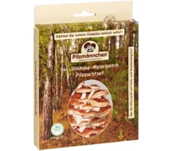 Pilzmännchen Bio Pilzzuchtset Shiitake-Myzelpatch