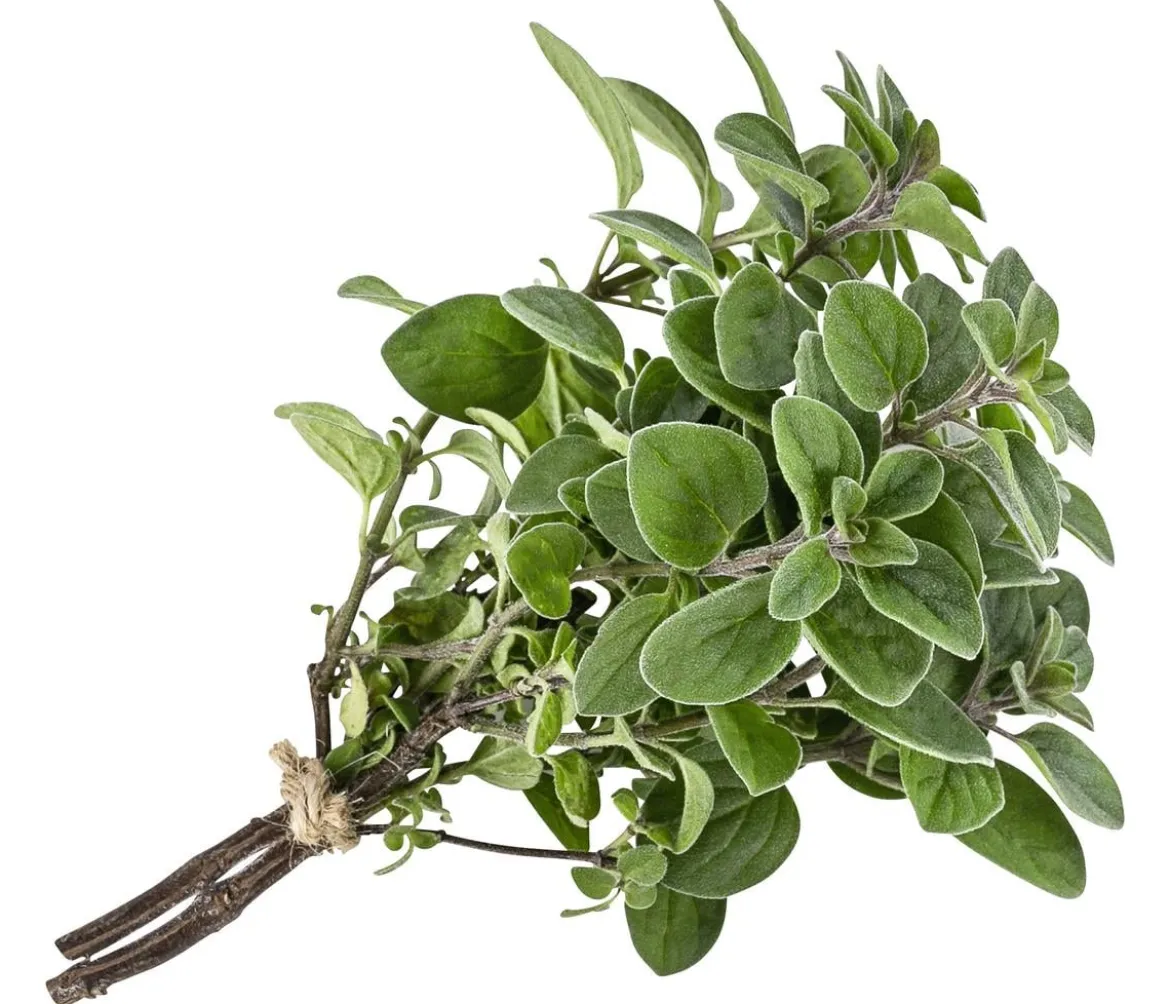 Pizza-Oregano