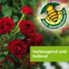 PROTECT GARDEN Curamat AZ Rosen-Pilzfrei, flüssig, 2 x 4 ml