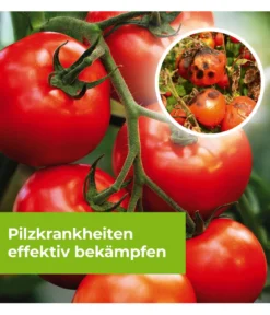 PROTECT GARDEN Curamat AZ Rosen-Pilzfrei, flüssig, 2 x 4 ml