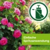 PROTECT GARDEN Curamat AZ Rosen-Pilzfrei, flüssig, 15 ml