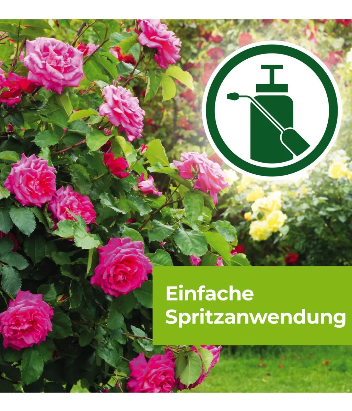 PROTECT GARDEN Curamat AZ Rosen-Pilzfrei, flüssig, 15 ml