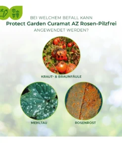 PROTECT GARDEN Curamat AZ Rosen-Pilzfrei, flüssig, 15 ml