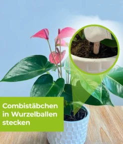 PROTECT GARDEN Lizetan Plus Combistäbchen