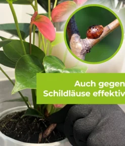 PROTECT GARDEN Lizetan Plus Combistäbchen