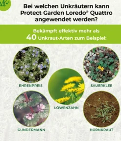 PROTECT GARDEN Loredo® Quattro Universal-Rasenunkrautfrei